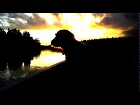 Dumle screening. Notholmen 1 aug 2011