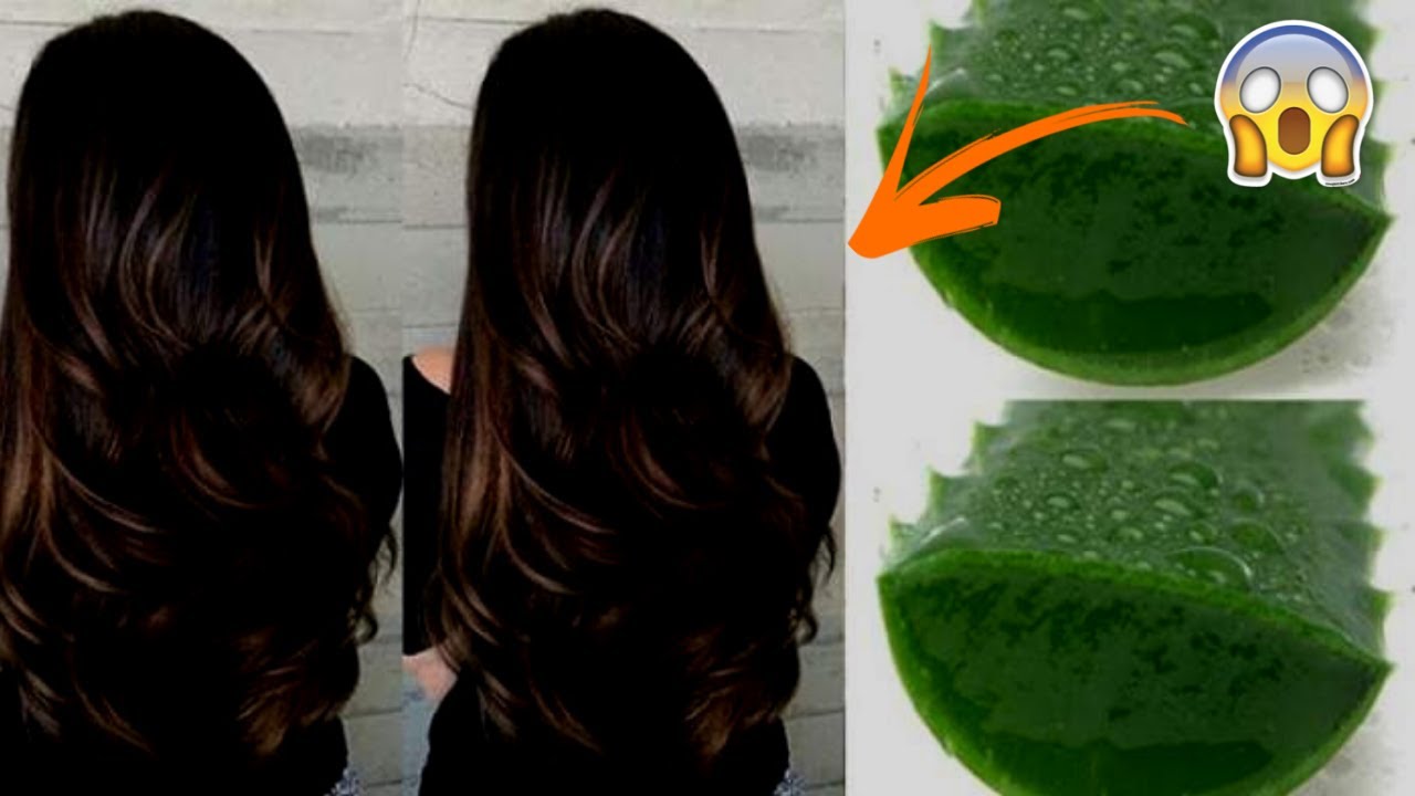 5 RECEITAS CASEIRAS PARA HIDRATAR OS CABELOS COM INGREDIENTES FÁCEIS DE ENCONTRAR