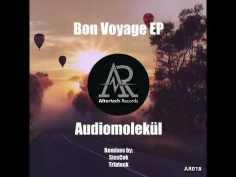 Audiomolekul feat. Beatpunx - Radiate (Triateck Remix)