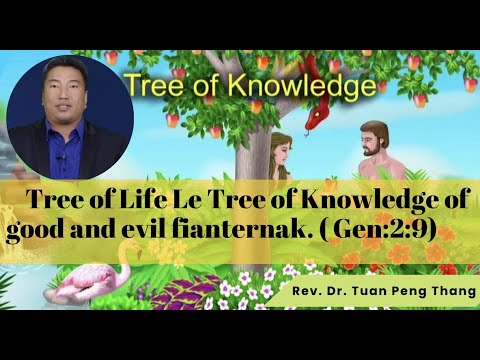 Rev.Dr. Tuan Peng Thang II Eden Dum Chung um Chia le Tha Hngalhkhawhnak Thingkung  Kong Fianternak.