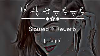 Chup Chup Meena Pata Kawa (Slowed+Reverb) Pashto N