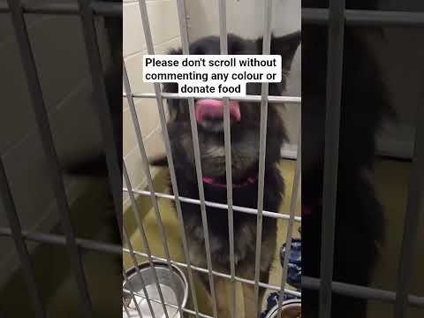 please help link in bio to donate food please #NYC#LosAngeles#Chicago#Texas#Florida#california