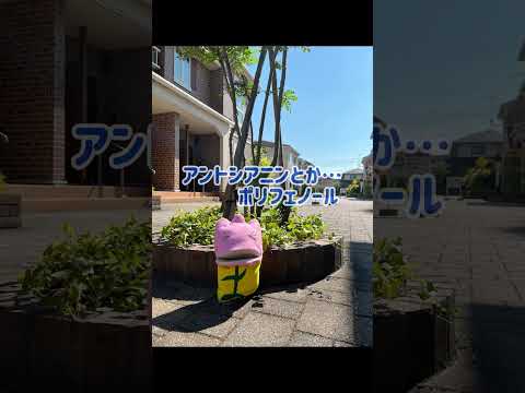 園芸 ガーデニングは健康に良い!