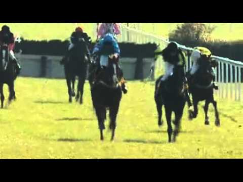 Velká slušovická steeplechace - Cena hejtmana Zlínského kraje