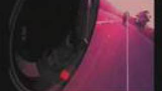 Paw Pansy from Road Rash