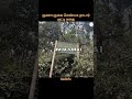 History Of Guna Cave Shenbaga Nadar Godinfo Shorts