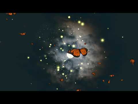 Gut$ - ANARCHY44 (Prod. 9TYEIGHT x Akira)