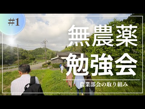 建築学科 【食と健康】無農薬農法について学ぶ