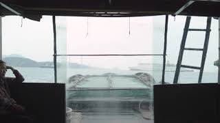 《木已成舟》A Thousand Sails 第十三屆鮮浪潮國際短片節（開幕短片）