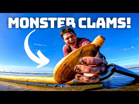 Catching Monster Clams and 🦀 Crabs on the Oregon Coast!?