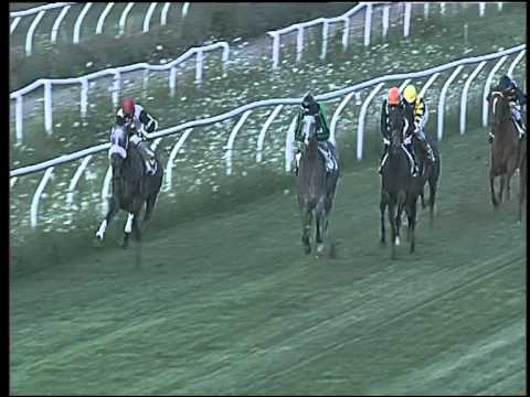 Galoppo 29/07/2015 - 2° corsa