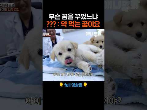꿈이라기엔 입이 쓰다 #애니멀봐 #shorts