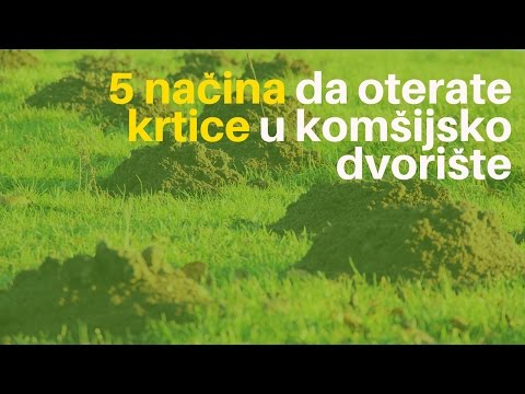 5 Načina Da Oterate Krtice u Komšijsko Dvorište | Agromedia Savet