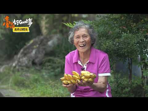 臺南好Good事 - 【臺南好Good事-8】看見日出.迎向希望|左鎮公舘社區翻轉偏鄉!