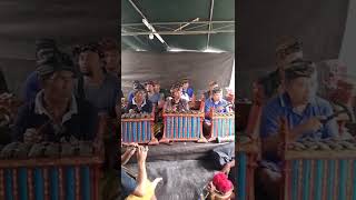 Download lagu Angklung Bali, LEMUKIH, SINGARAJA, INDONESIA mp3 Download lagu Angklung Bali, LEMUKIH, SINGARAJA, INDONESIA mp3