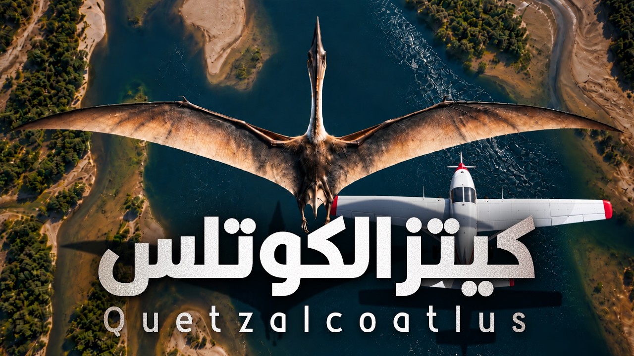أضخم حيوان حلق في سماء الأرض على مر التاريخ