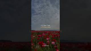 Download lagu kina krde aa pyr je tu puchda ee yaara #friends #sahantohnere #amrindergill mp3 Download lagu kina krde aa pyr je tu puchda ee yaara #friends #sahantohnere #amrindergill mp3