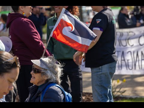 Generations unite at Christchurch march to support te reo Māori