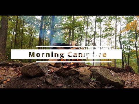 Relaxing Morning Campfire with Singing Birds-Mindful Music-2 Hours