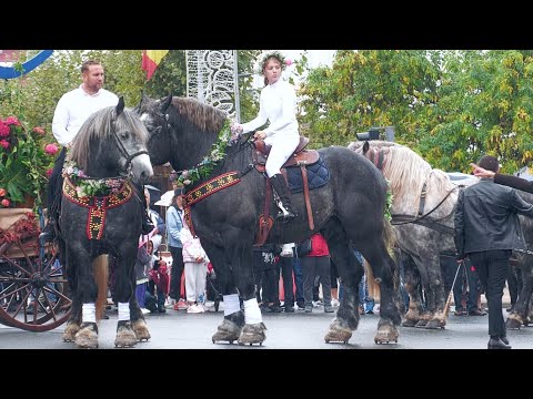 Horse Parade Chestnut Festival - Baia Mare September 19, 2025