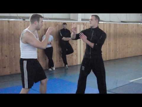 Wing Chun vs Muay Thai