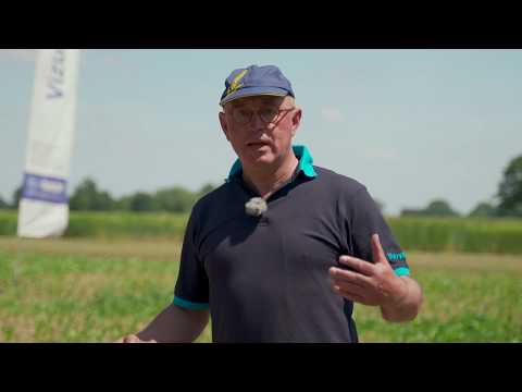 BASF Feldtag@home – Mais