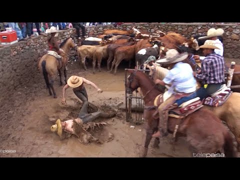 The Best of Los Coleaderos 2020