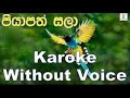 piyapath sala mama oba soya emi rayeපියාපත් සලා මම Karaoke without voice