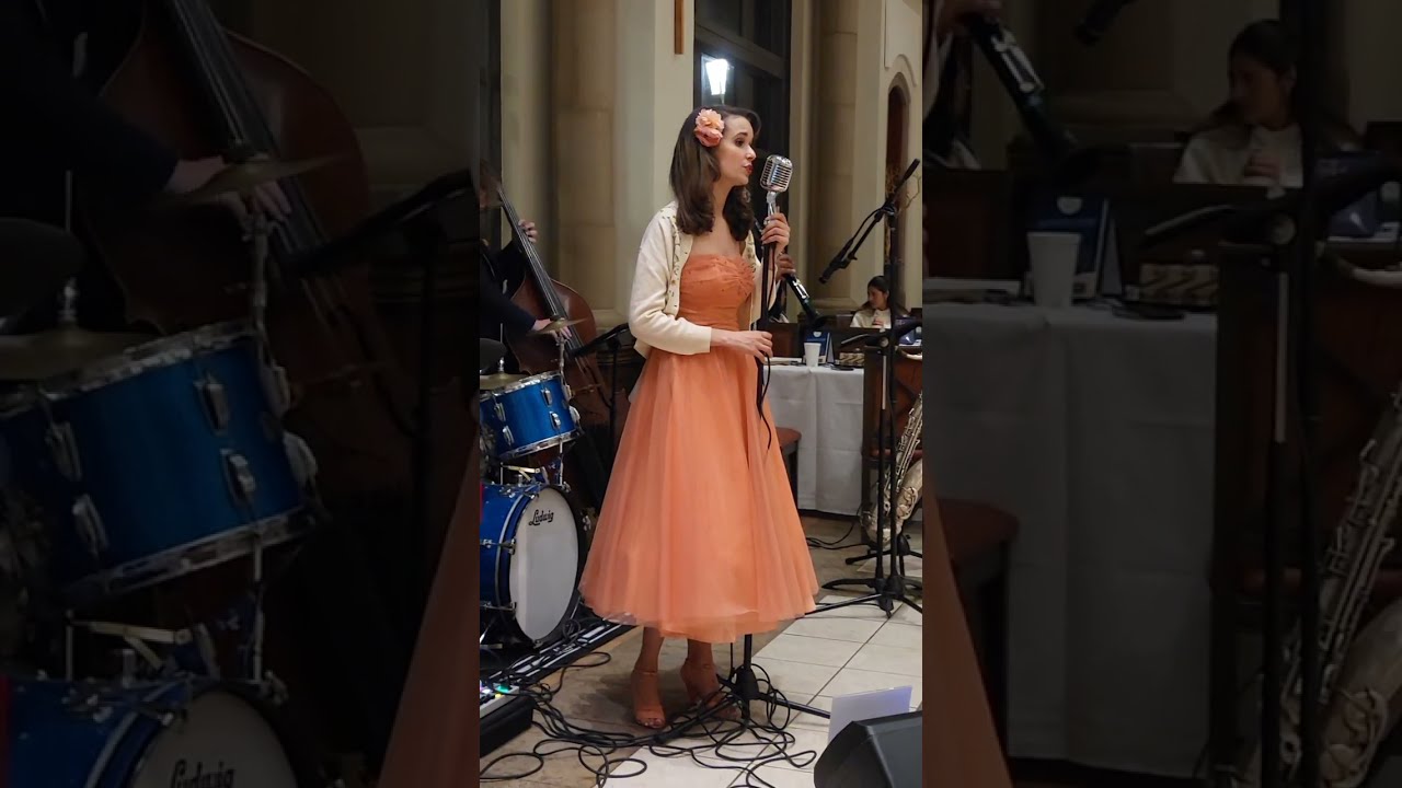 Promotional video thumbnail 9 for Ashley Anne and The Carnations