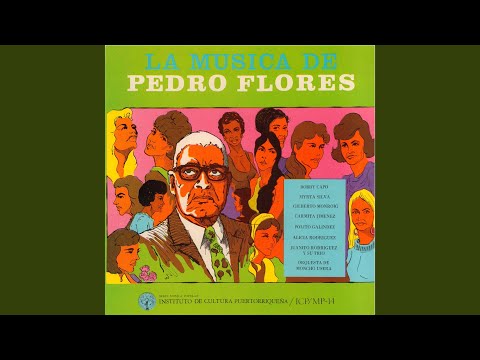 Extracto de entrevista a Pedro Flores