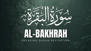 Download lagu SALIM BAHANAN _ SURAH AL-BAQARAH _ JUZ 1 _ BEAUTIFUL RECITATION mp3 Download lagu SALIM BAHANAN _ SURAH AL-BAQARAH _ JUZ 1 _ BEAUTIFUL RECITATION mp3