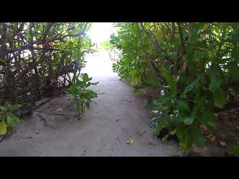 download lagu mp3 mp4 Cocoon Maldives Beach Villa, download lagu Cocoon Maldives Beach Villa gratis, unduh video klip Cocoon Maldives Beach Villa