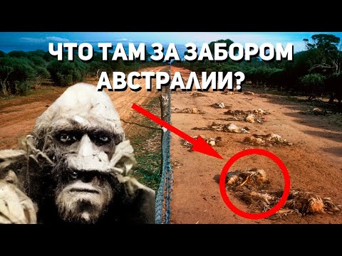 Что от нас скрывают за забором Австралии