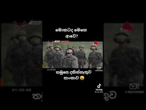 Himanthara 🎯Yuu Sea Jin funny moments 🌌🏙(1)