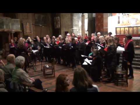 The Singing for Sanctuary choir & Gui Tavares 'Lugar Comum' - 28.1.17