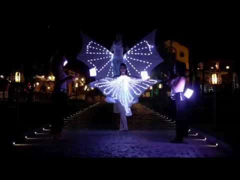 SPETTACOLO FARFALLE LUMINONE