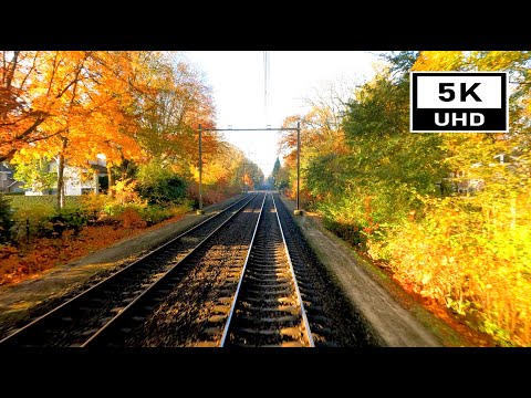 [5K/60fps] Herfst in Nederland: WAUW! 's-Hertogenbosch - Roosendaal CABVIEW HOLLAND 10 nov 2021