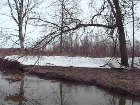 Eagle Scouts in the Shiawassee Flats.wmv