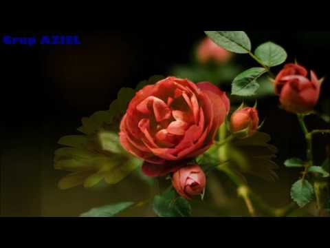 Grup AZIEL - Nu mai spune a ta durere frate nimanui