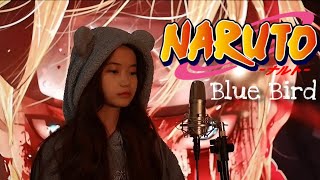 Download lagu Blue Bird ( Naruto Shippuden OP 3 ) | Shania Yan Cover mp3 Download lagu Blue Bird ( Naruto Shippuden OP 3 ) | Shania Yan Cover mp3