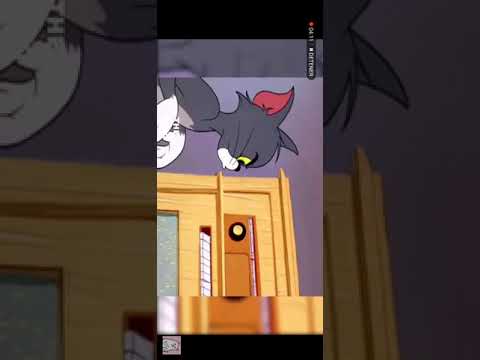 Reaccionando a videos de risa 😂