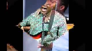 Robert Cray   Too Many Cooks