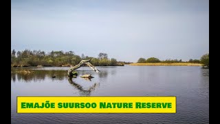 preview picture of video 'Emajõe Suursoo Nature Reserve / Emajõe Suursoo ehk Peipsiveere looduskaitseala - Estonian Nature'