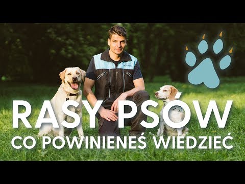 Masaż Flatfoot i palucha koślawego Ustawienie koślawe kolana określenia