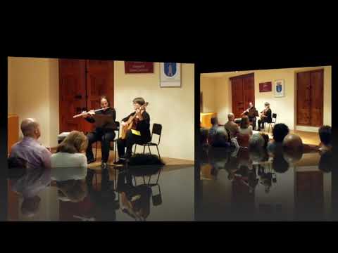 Flauta y guitarra