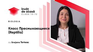 Класс Пресмыкающиеся (Reptilia)