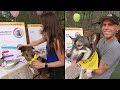 People Are Throwing Dog DNA Parties To Find Out Their Pup S Breeds