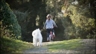 Alice / 古川本舗 (covered by ちょまいよ)