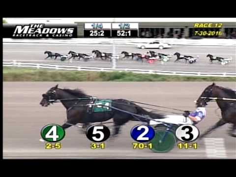 2016 Adios Pace - Racing Hill