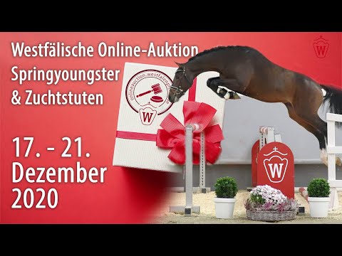 Trailer Youngster- und Zuchtstutenauktion/Springen 17. - 21. Dezember 2020